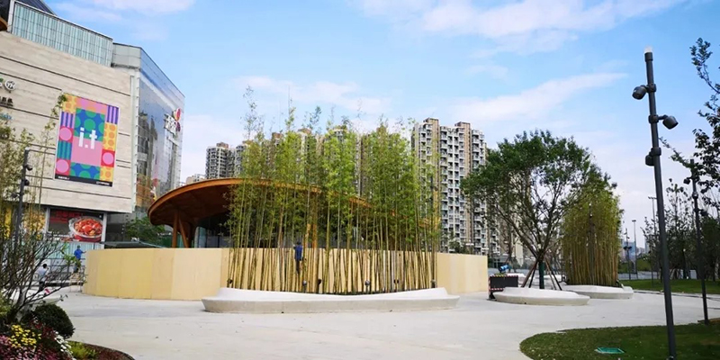 悠竹山谷街區(qū)內(nèi)竹林小景