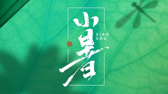 三伏將至，避暑預(yù)警！