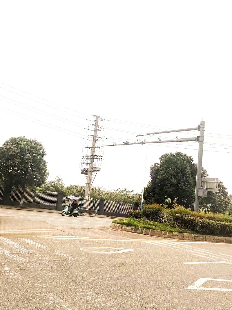 菲尼特道路監(jiān)控桿