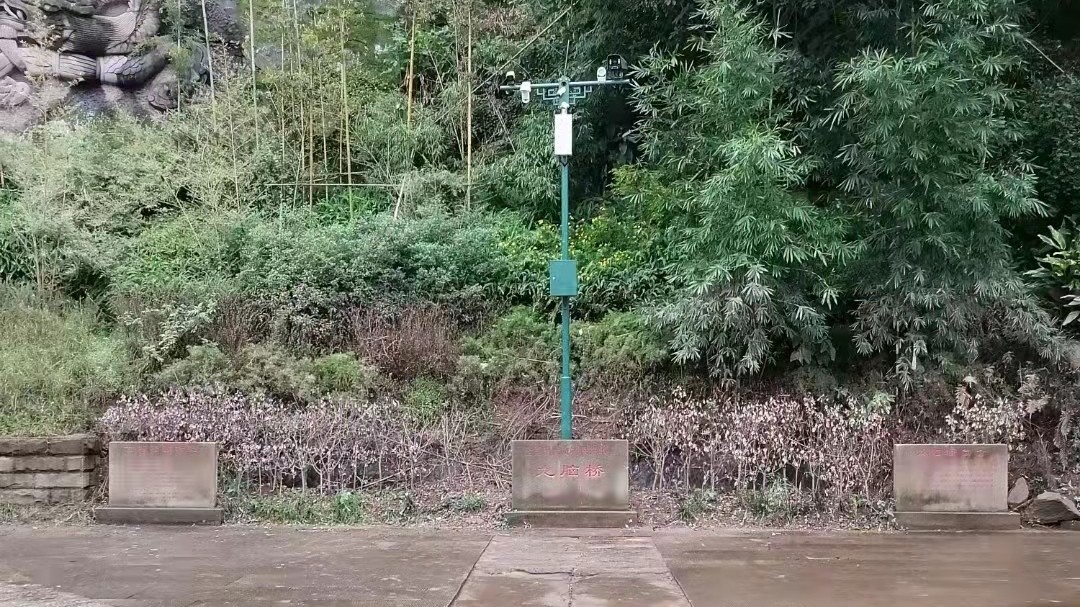 成都智能監(jiān)控立桿廠家菲尼特